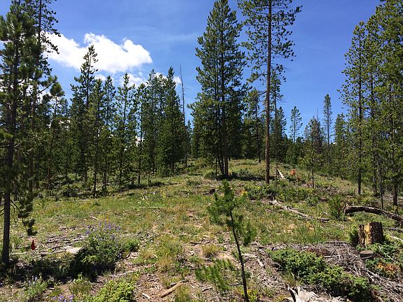 5th image of LOT 16 County Road 85