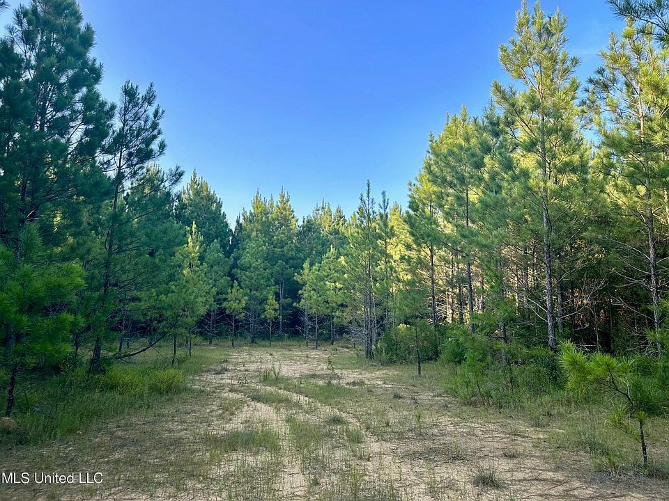 Elijah Graham Rd, Noxapater, MS 39346 MLS 4056389 Zillow