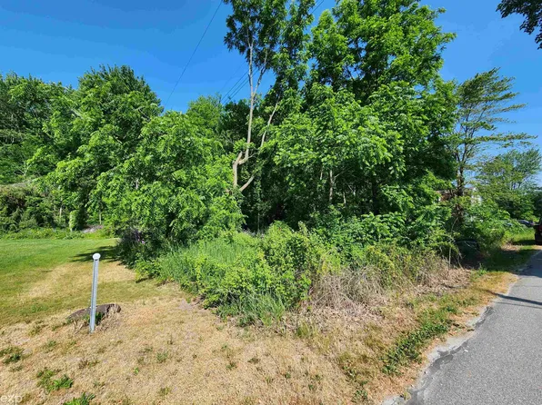 0 Washington St, Emmett, MI 48022