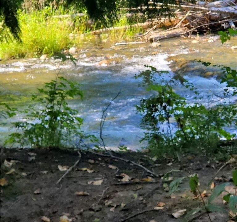 2nd image of 12826 Trout Farm Rd
