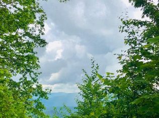 Canopy Ln, Robbinsville, NC 28771