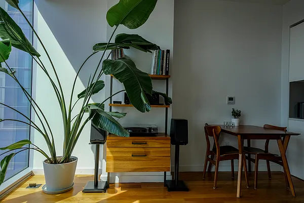 Rented by Owner | media 2