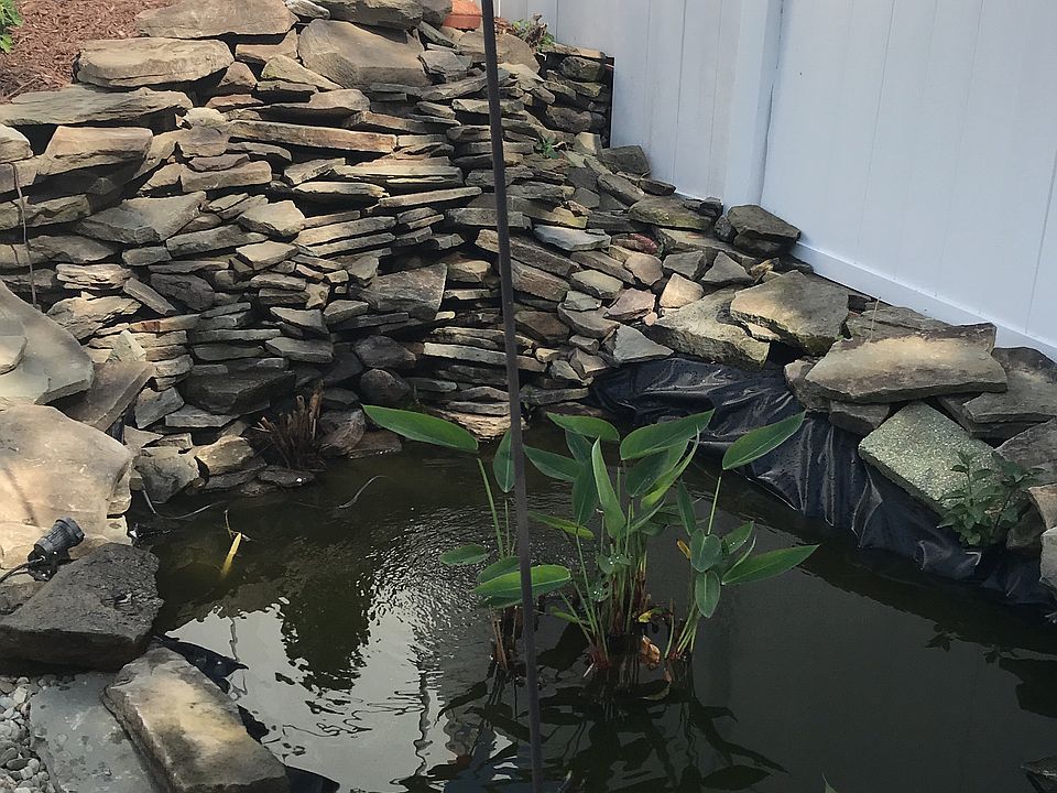 2nd image of 900 Fairview Dr