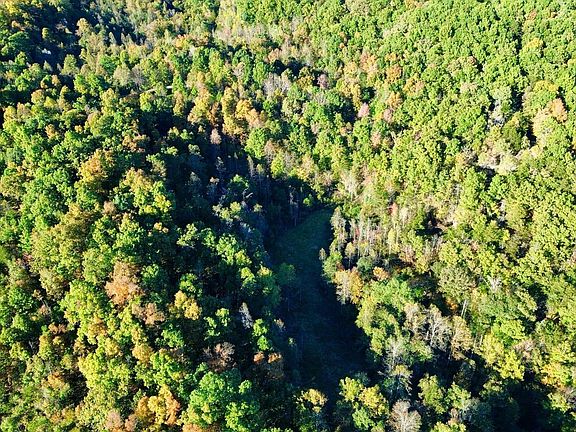 5th image of 34A Clay Camp Rd