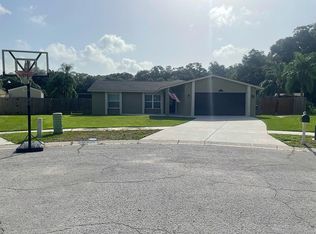 527 Bryan Valley Ct, Brandon, FL 33511