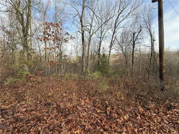 Dogwood Dr #28A, Omaha, AR 72662