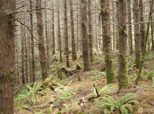 0 NKA Brooklyn Road, Oakville, WA 98568