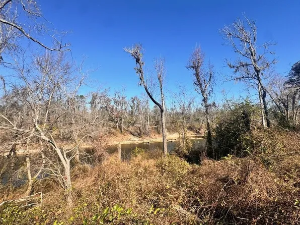 0 NE River Park Rd Lot 9, Lee, FL 32059