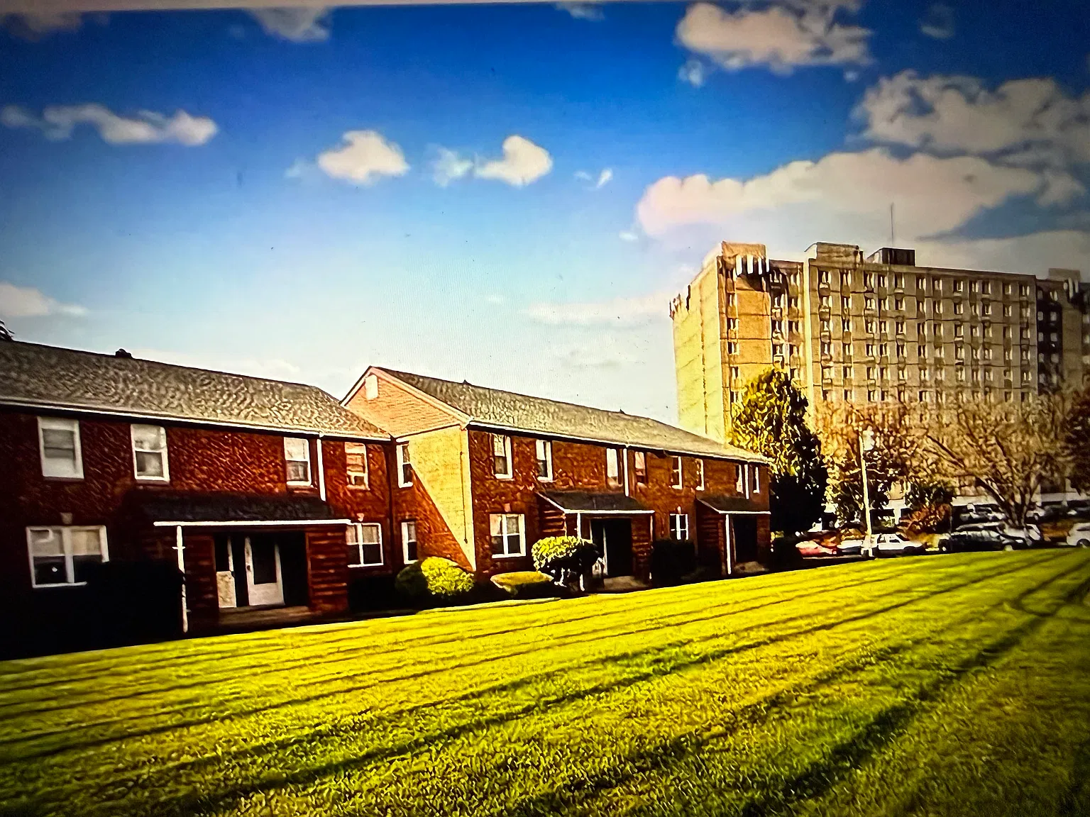 2 bed, 960 sqft, $2,300 — Photo 2