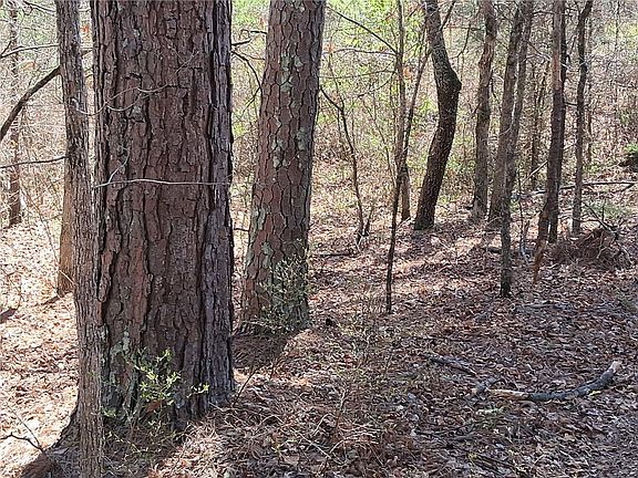 4th image of 16327 Slade Rd