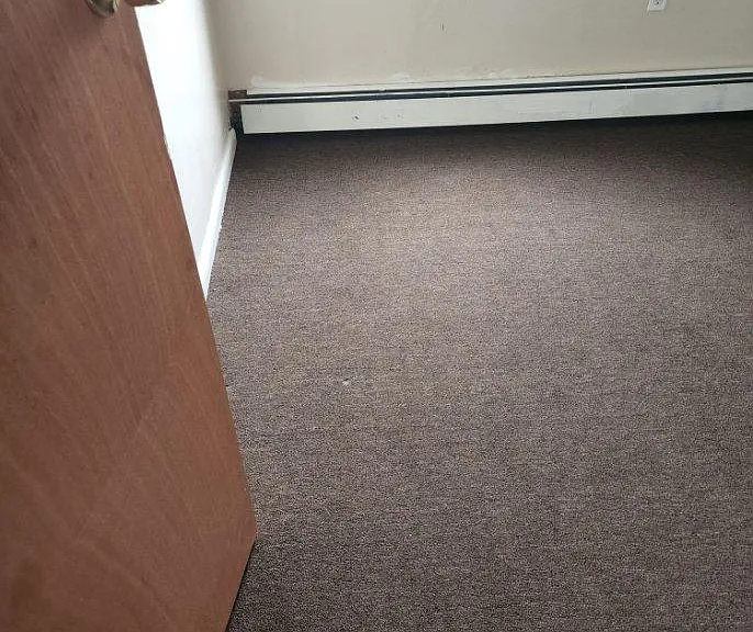 125 Franklin Ave #3 — Photo 5