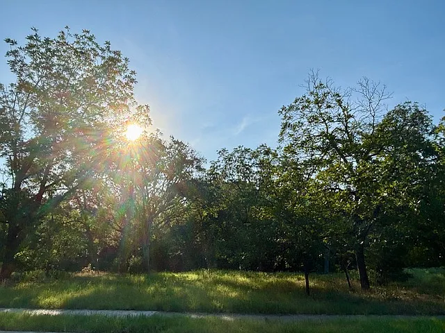 Greenbelt on Heartwood