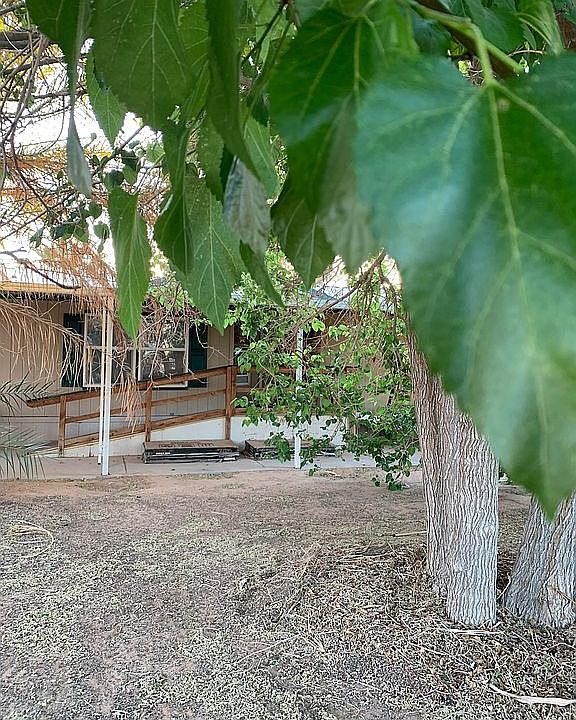 Shady fenced front yard