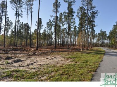 0 Captain Cone Ct Lot 15, Brooklet, GA, 30415