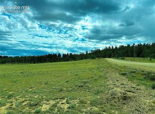 3984 Elkhorn Rd, Hartsel, CO 80449