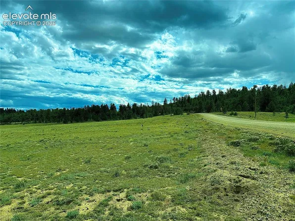 3984 Elkhorn Rd, Hartsel, CO 80449
