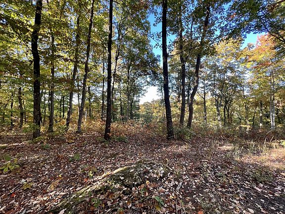 4th image of 281 Sunset Bluff Way Lot 31