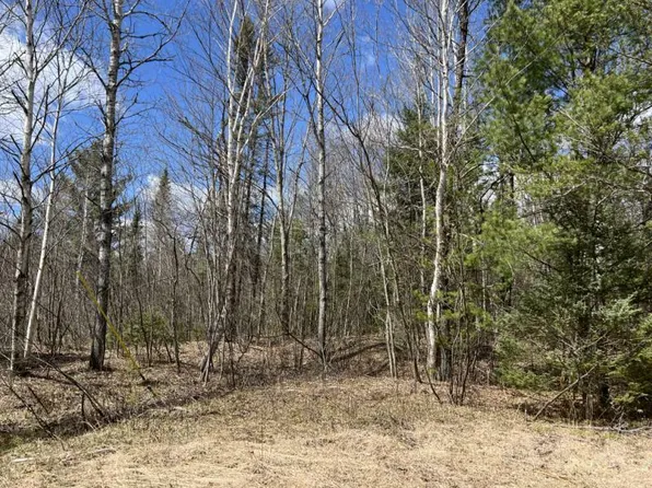 3324 North Rd, Luzerne, MI 48636