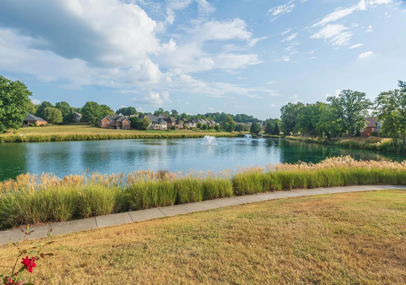 Beautiful 3-Bedroom, 3-Bath Home with Lake View — Photo 4