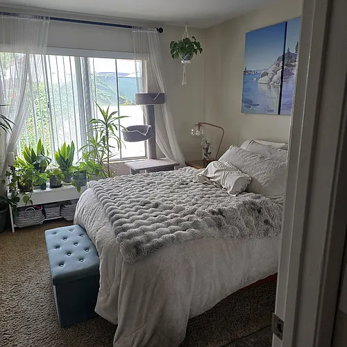 859 Viewpoint Dr #242 Photo 1