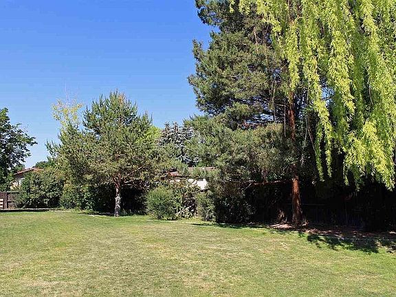 Large yard with mature trees