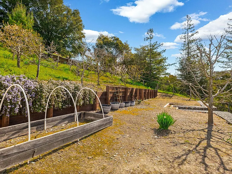 Grow your own escape with raised beds, fruit trees, and room to expand, this sunny garden area is perfect for green thumbs, weekend projects, or farm-to-table dreams.