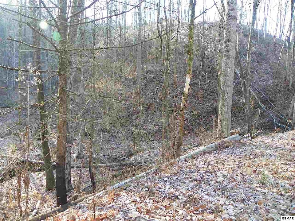 1st image of 259 Lones Branch Ln
