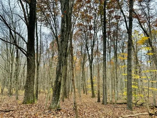0 Metz Rd, Saint Petersburg, PA 16054