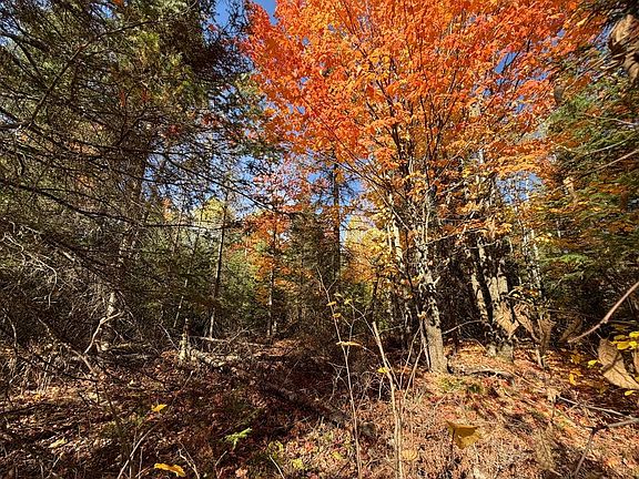 2nd image of LOT 5 CTH J