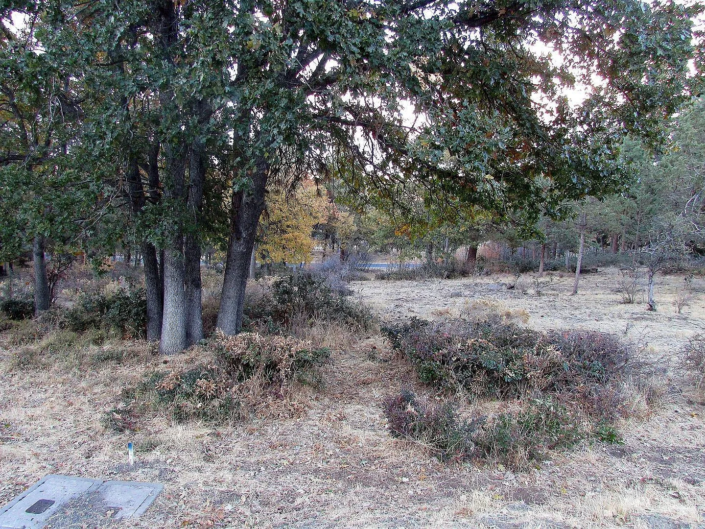 0 Lots 883 #533-552 photo 1