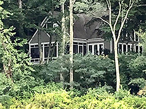 Back view from the water