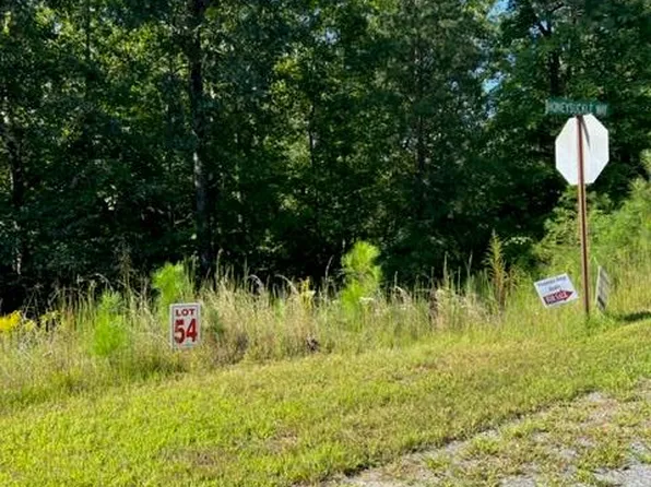 54 Honeysuckle Way, Ellijay, GA 30540