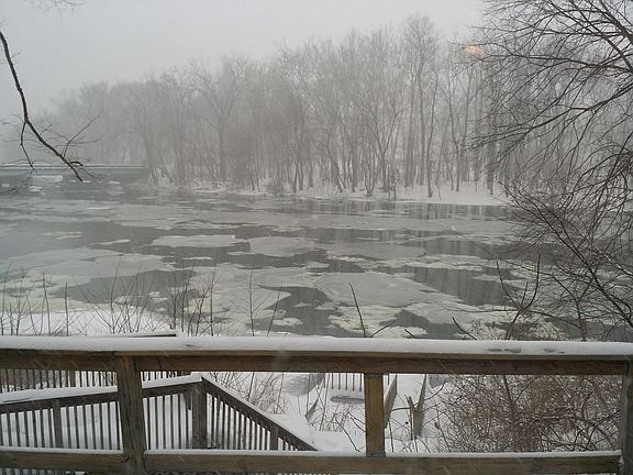 3rd image of 2636 Thornacres Dr