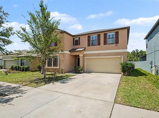 10022 Carloway Hills Dr, Wimauma, FL 33598