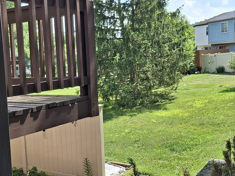 Large back yard