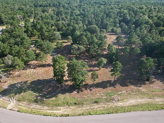 3rd image of 3145 Shadow Pine Dr