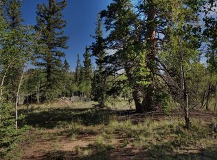 452 Kodiak Rd, Jefferson, CO 80456