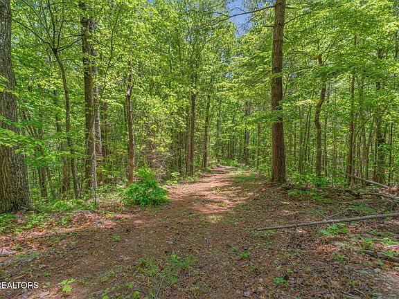 51st image of 2380 Rafter Rd