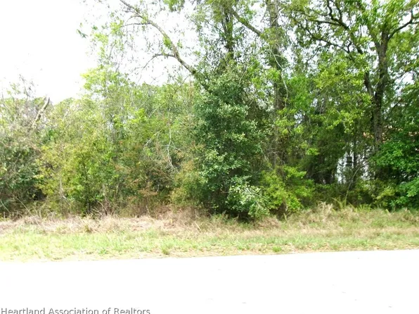 1520 Winter Rd, Lake Placid, FL 33852