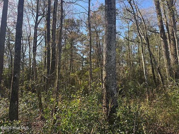 5th image of 0 Little Prong Rd NW Lot 4