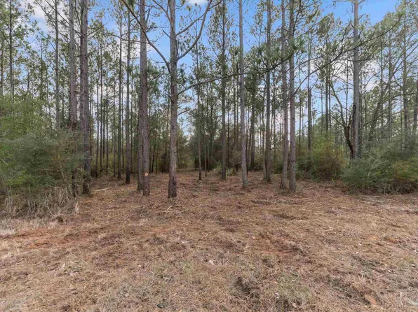 LOT 10 Bermuda Ln, Seminole, AL 36574