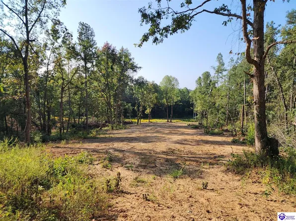 0 Kefauver Rd, Leitchfield, KY 42754