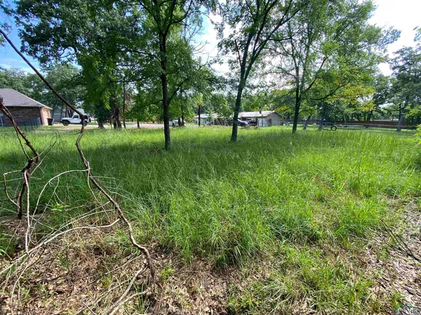 74 Deer Run, Malakoff, TX 75148