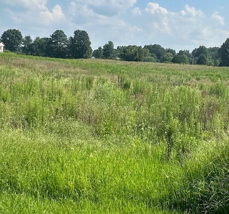 2nd image of 6417 Hopewell Rd
