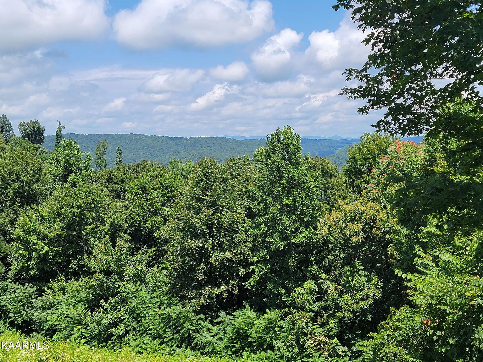 175 Eagle Cove Pkwy LOT 175, Maynardville, TN 37807 MLS 1236269 Zillow