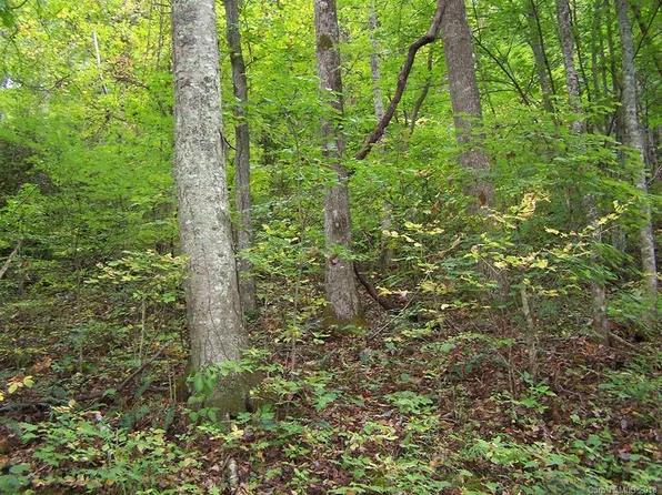 0 Whispering Woods Path Unit 95, Mars Hill, NC 28754