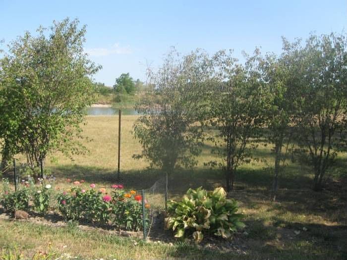 Pond View from Deck
