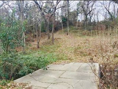 3201 Urban Ave, Dallas, TX, 75227