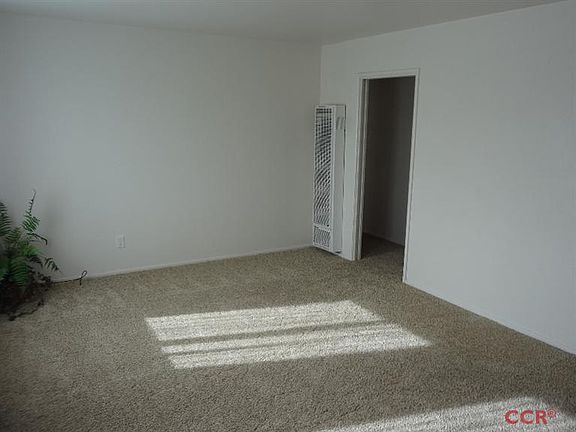 New Carpet