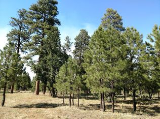 4269 Lodge Pole Pl, Happy Jack, AZ 86024